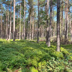 23-09-19 10-48-57 7067